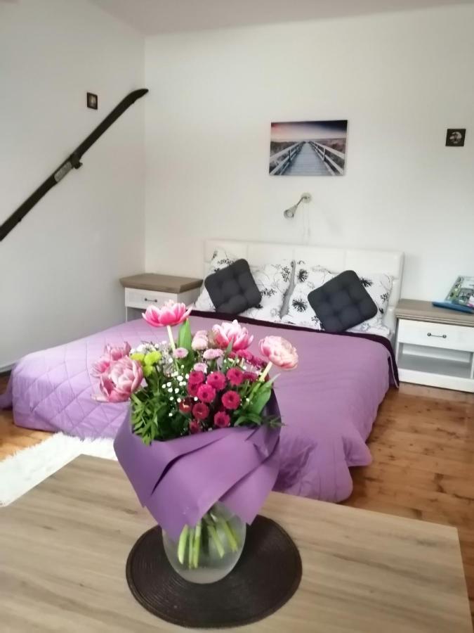 Apartment Patrick Harrachov Esterno foto